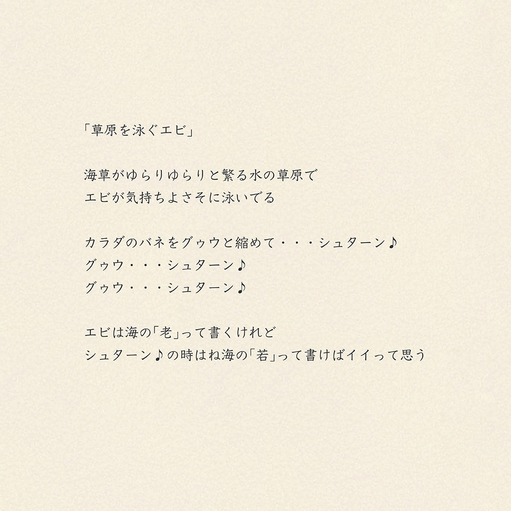 靴下/草原を泳ぐエビ