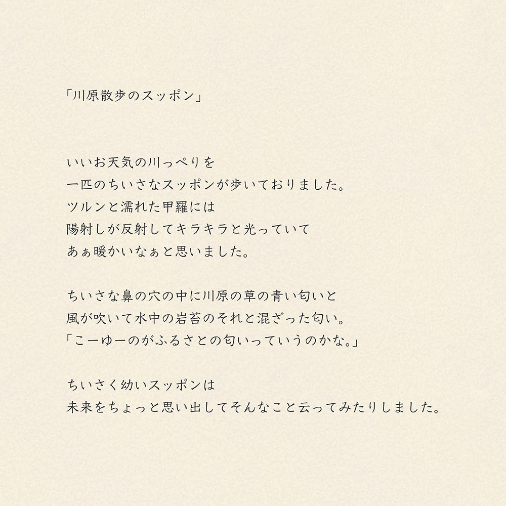 靴下/川原散歩のスッポン