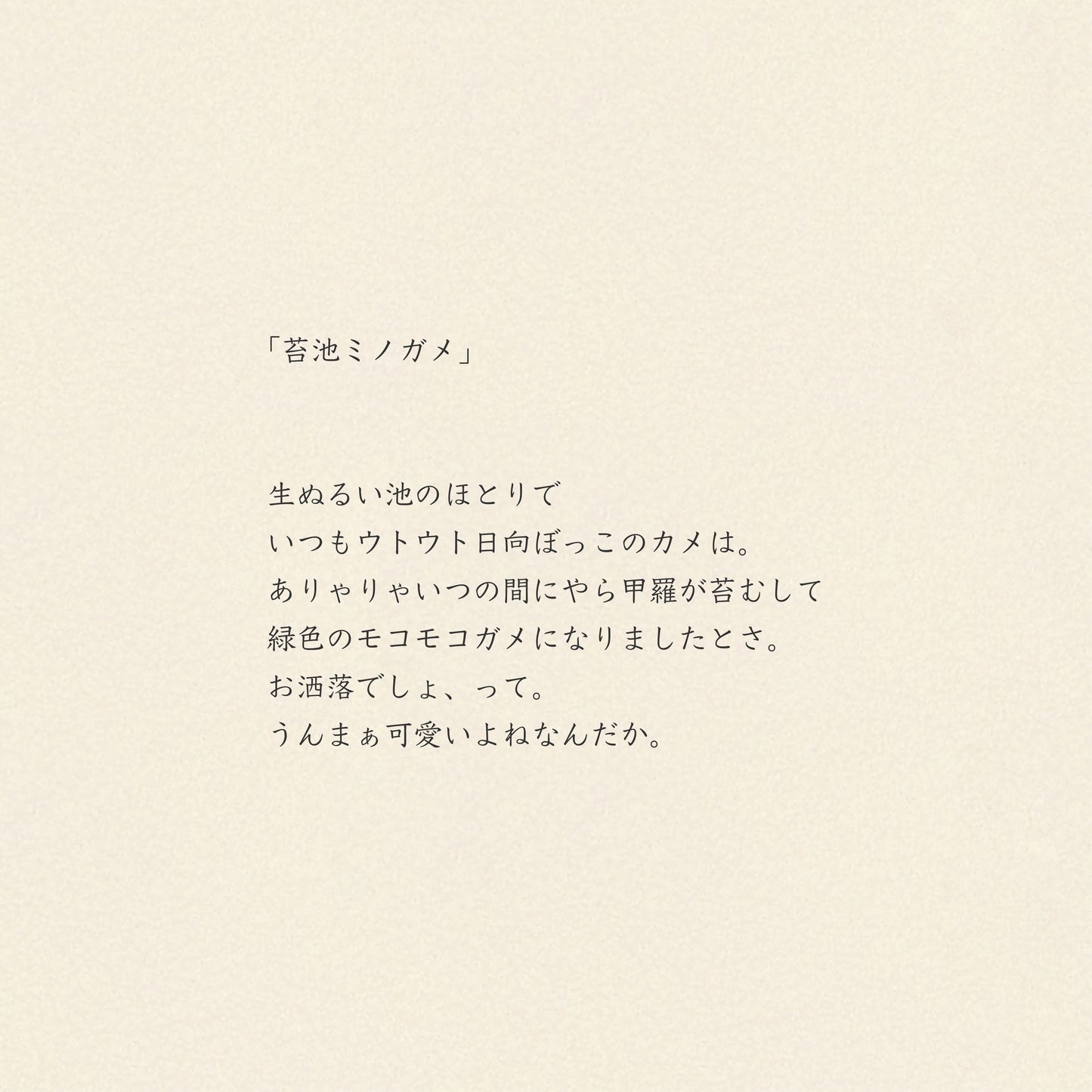 モコモコドウブツハンカチ/苔池ミノガメ