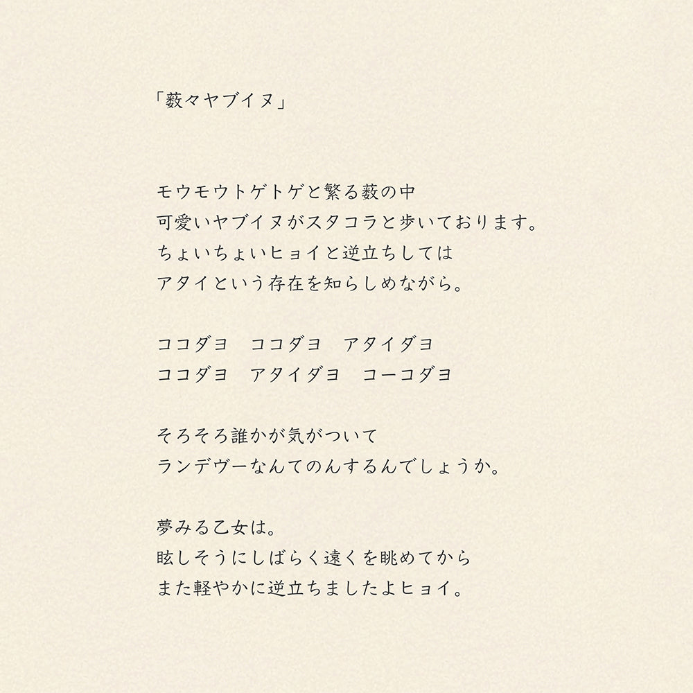 靴下/薮々ヤブイヌ