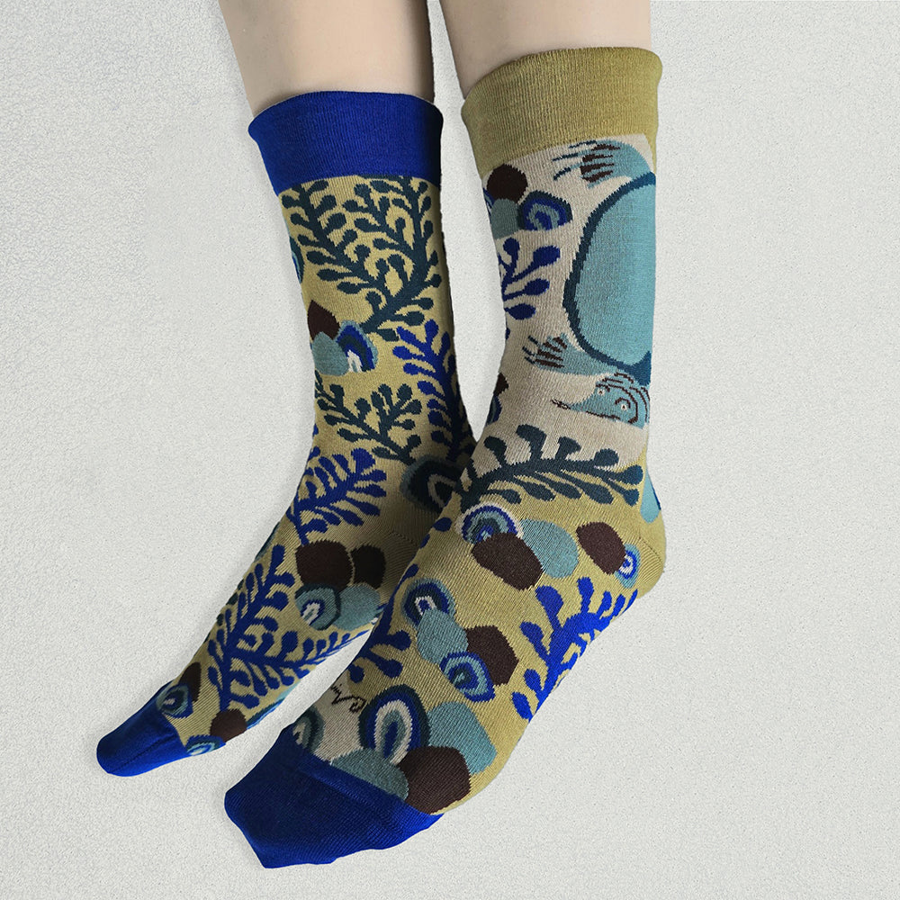 靴下/川原散歩のスッポン