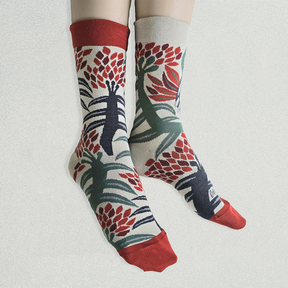 靴下/ご自慢ヨウム