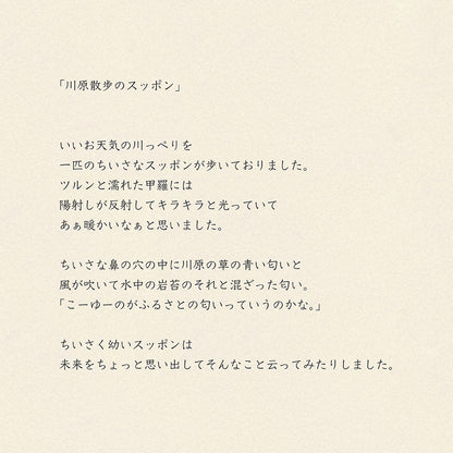 靴下/川原散歩のスッポン