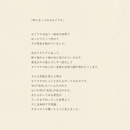 マルチクロス/時々立ってみるセイウチ