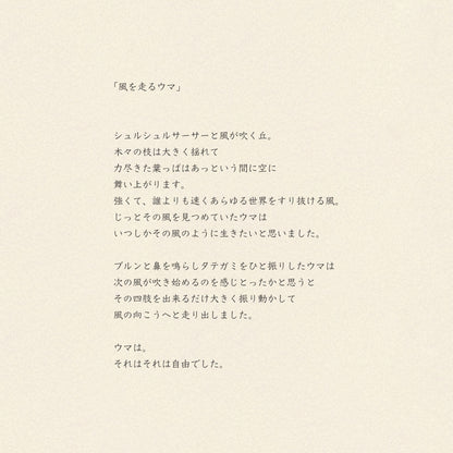 マルチクロス/風を走るウマ