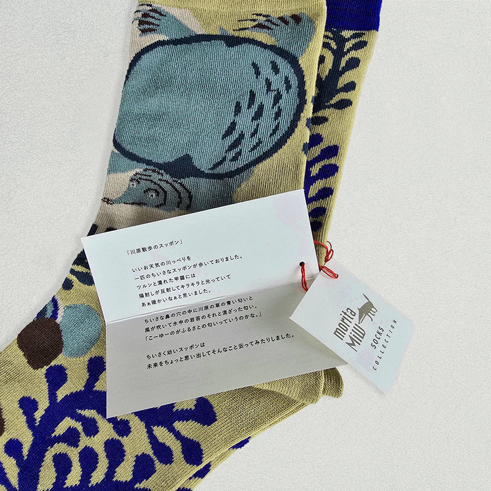 靴下/川原散歩のスッポン