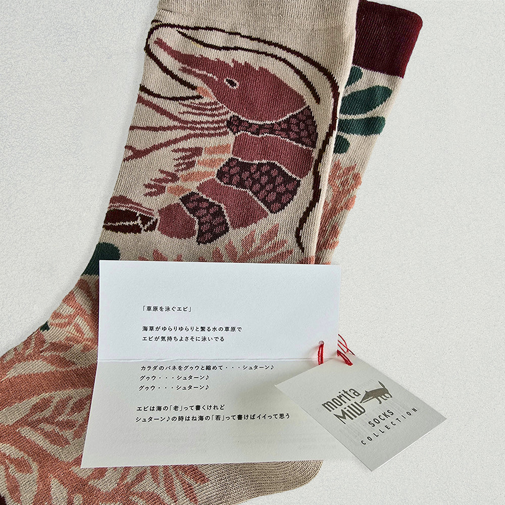 靴下/草原を泳ぐエビ