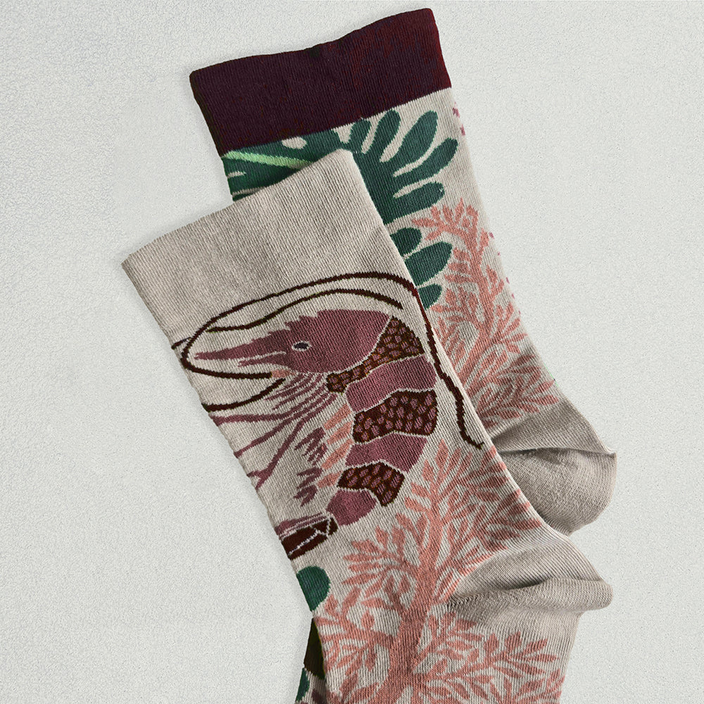 靴下/草原を泳ぐエビ