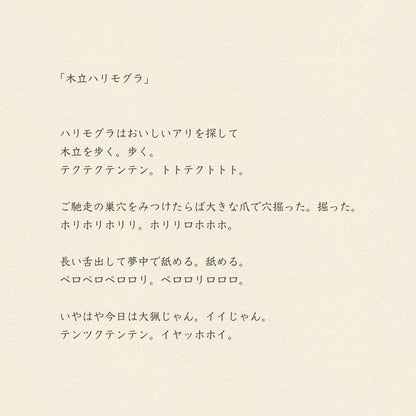 モコモコドウブツハンカチ/木立ハリモグラ