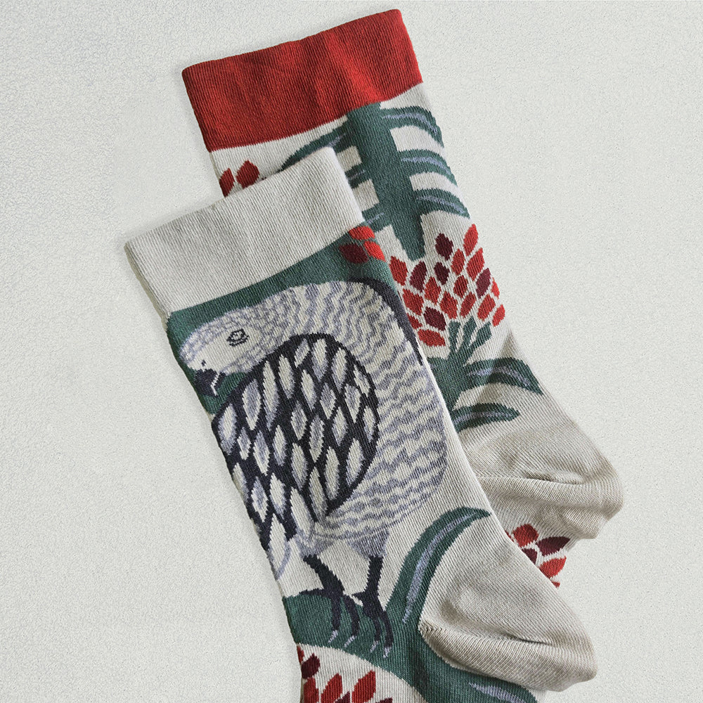 靴下/ご自慢ヨウム