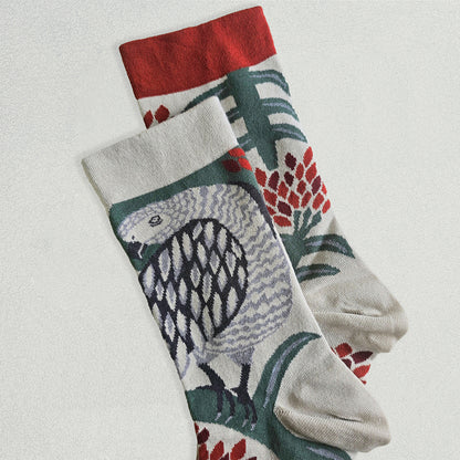 靴下/ご自慢ヨウム