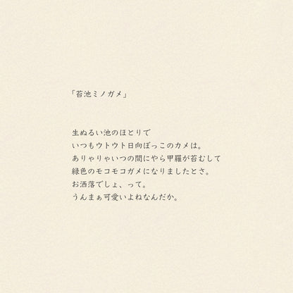 モコモコドウブツハンカチ/苔池ミノガメ