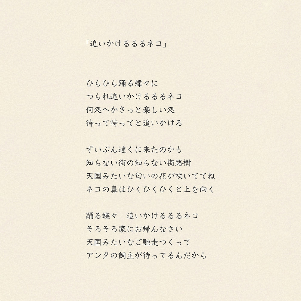 靴下/追いかけるるるネコ